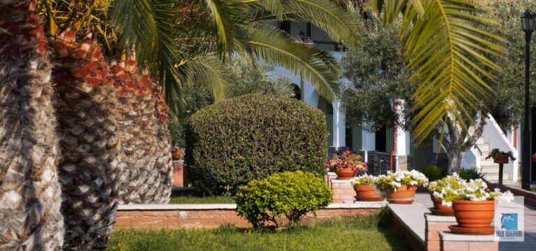 Blue Dolphin Hotel — снимка 4, Halkidiki