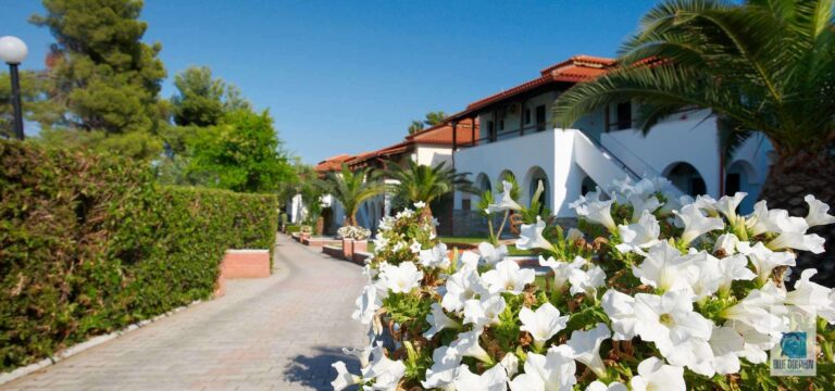 Blue Dolphin Hotel — снимка 5, Halkidiki