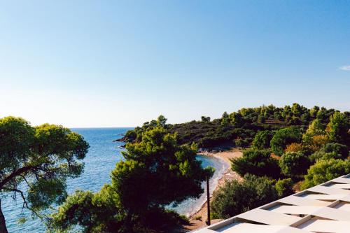 Casa Bloo Hotel